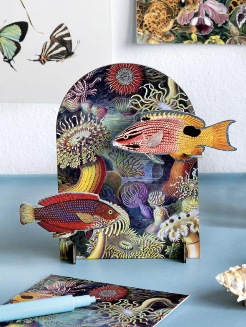 화려한 물고기 카드 Card Extravaganza Fishes